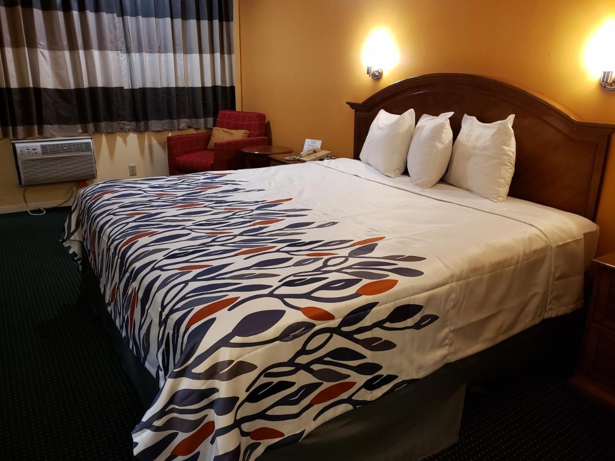 רדינג Shasta Lodge מראה חיצוני תמונה